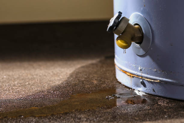 Best Professional water damage repair  in Experiment, GA