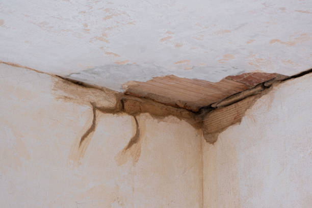 Best Local water damage restoration  in Experiment, GA