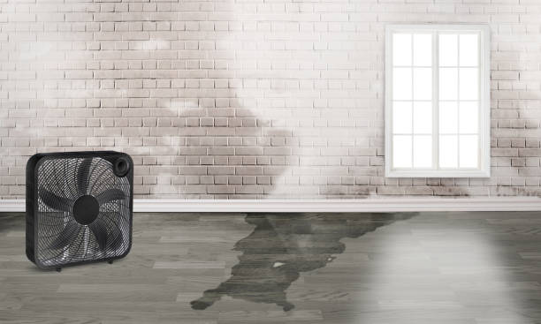 Best Water damage restoration near me  in Experiment, GA