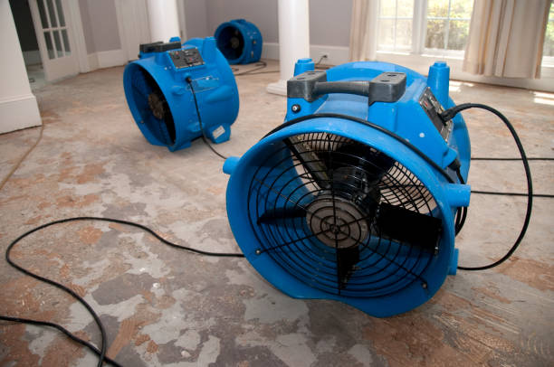 Best 24-hour water damage restoration  in Experiment, GA